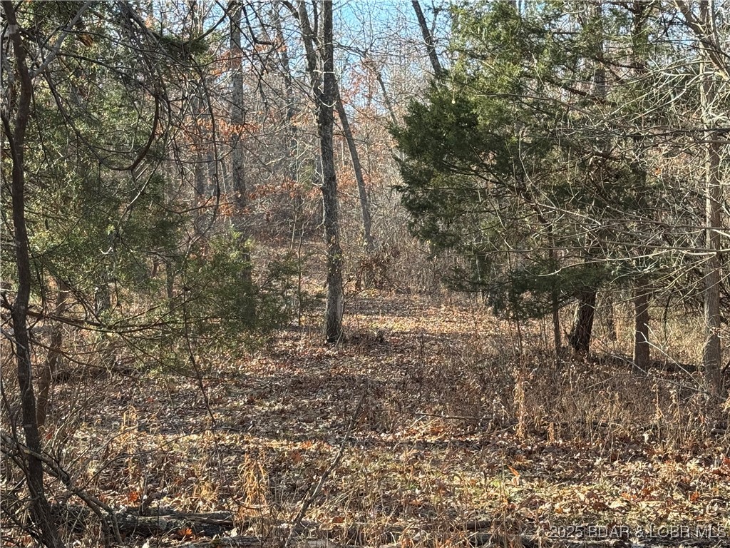 82-acres State Road North Climax Springs, MO 65324 - Photo 52 of 68