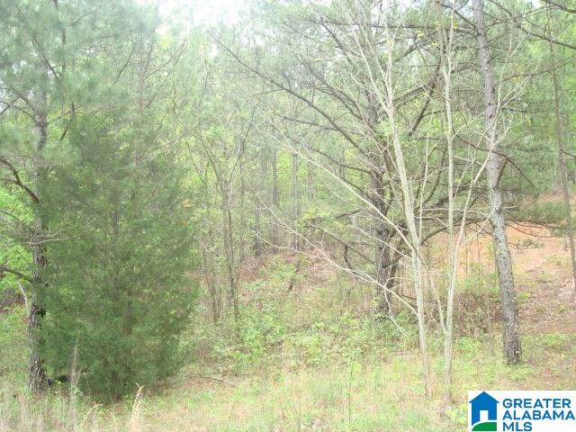 Kitchens Street, Unit 20 Anniston, AL 36201 - Photo 3 of 16