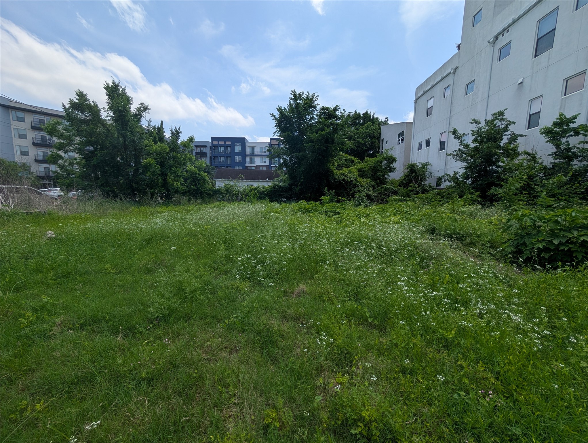0 Wichman Street Houston, TX 77007 - Photo 5 of 6