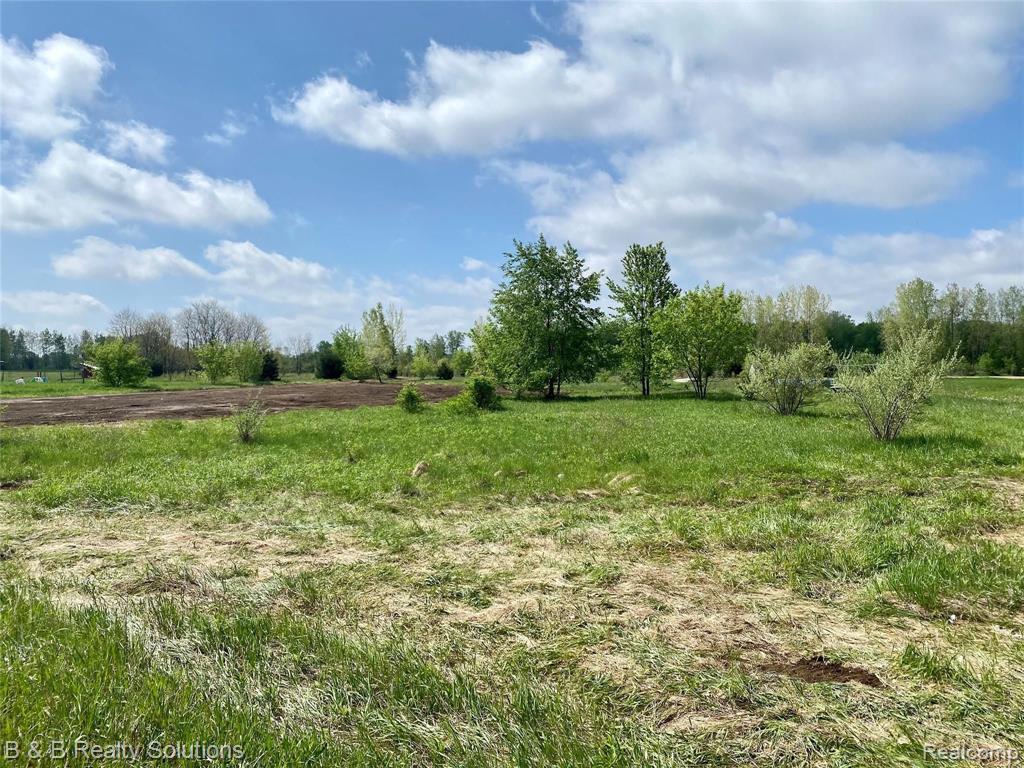 0 O Brien Road Mayville, MI 48744 - Photo 4 of 22