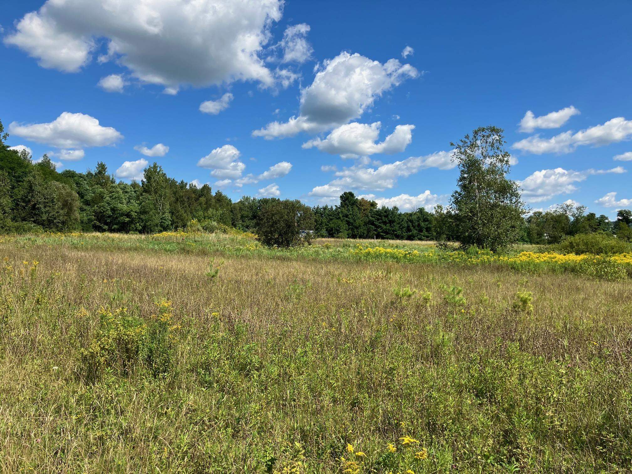 4 Main Street, Unit LOT 4 Richford, VT 05476 - Photo 2 of 6