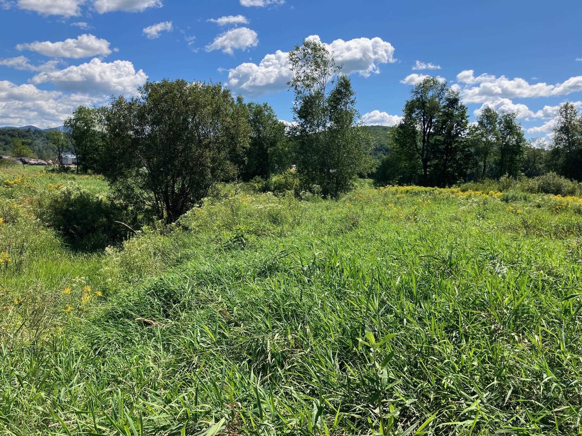 4 Main Street, Unit LOT 4 Richford, VT 05476 - Photo 3 of 6