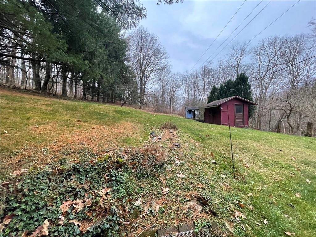4551 Hollow Road New Castle, PA 16101 - Photo 3 of 21 a view of a backyard with large trees