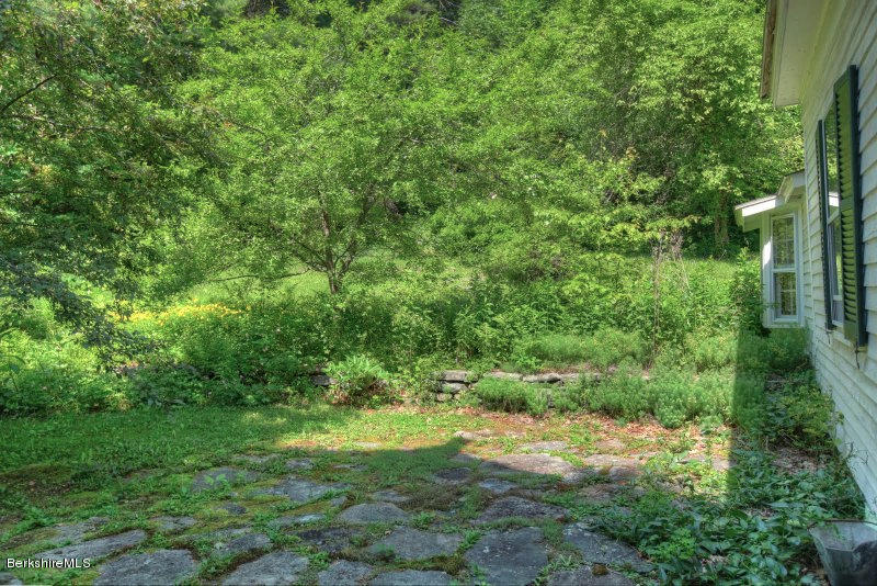 66 Fox Road Sandisfield, MA 01255 - Photo 51 of 54 a view of a yard with a tree