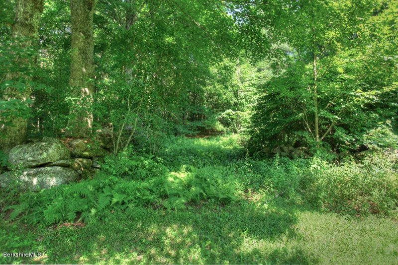 66 Fox Road Sandisfield, MA 01255 - Photo 8 of 54 a view of a lush green forest