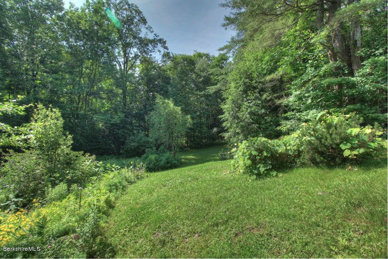 66 Fox Road Sandisfield, MA 01255 - Photo 10 of 54 a view of a lush green forest