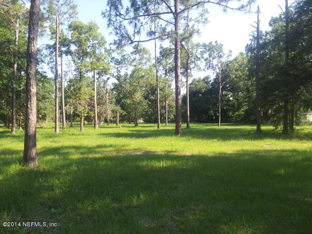 4127 Bronco Road Middleburg, FL 32068 - Photo 13 of 13 a view of a park with trees and a big trees