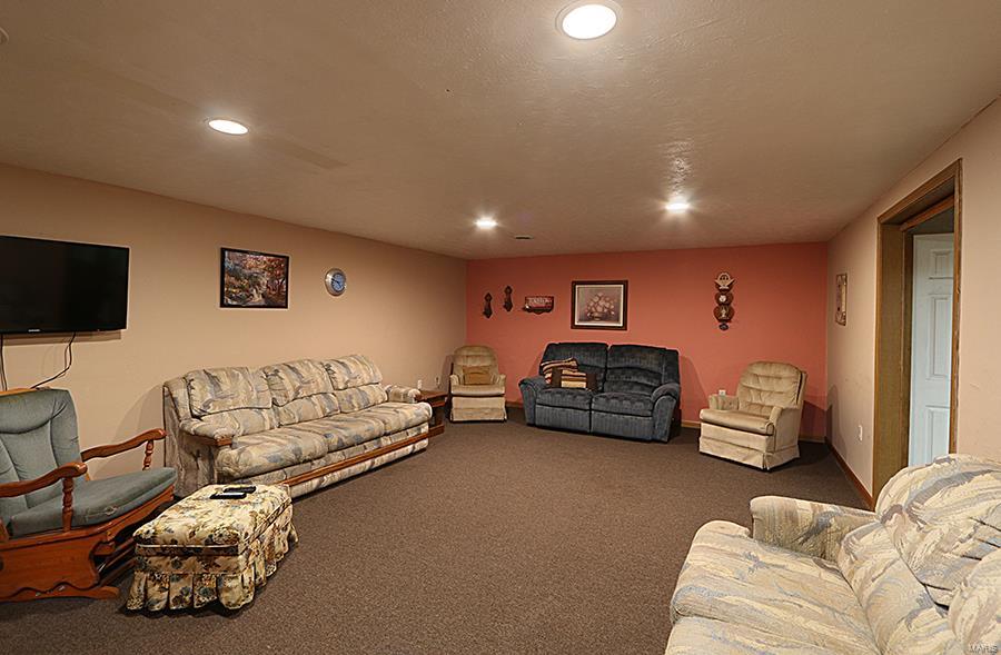 7429 Munich Road Bartelso, IL 62218 - Photo 33 of 52