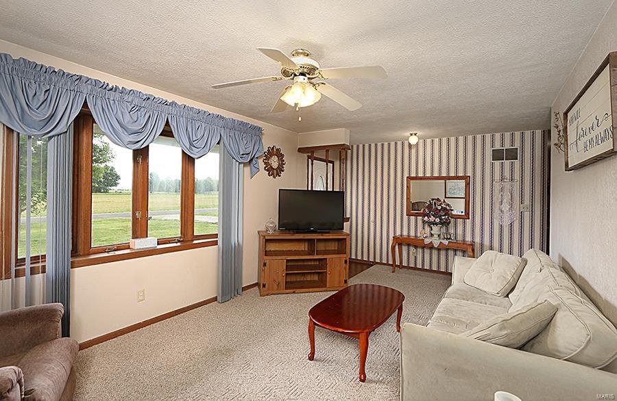 7429 Munich Road Bartelso, IL 62218 - Photo 8 of 52
