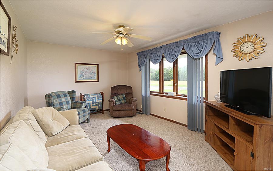 7429 Munich Road Bartelso, IL 62218 - Photo 9 of 52