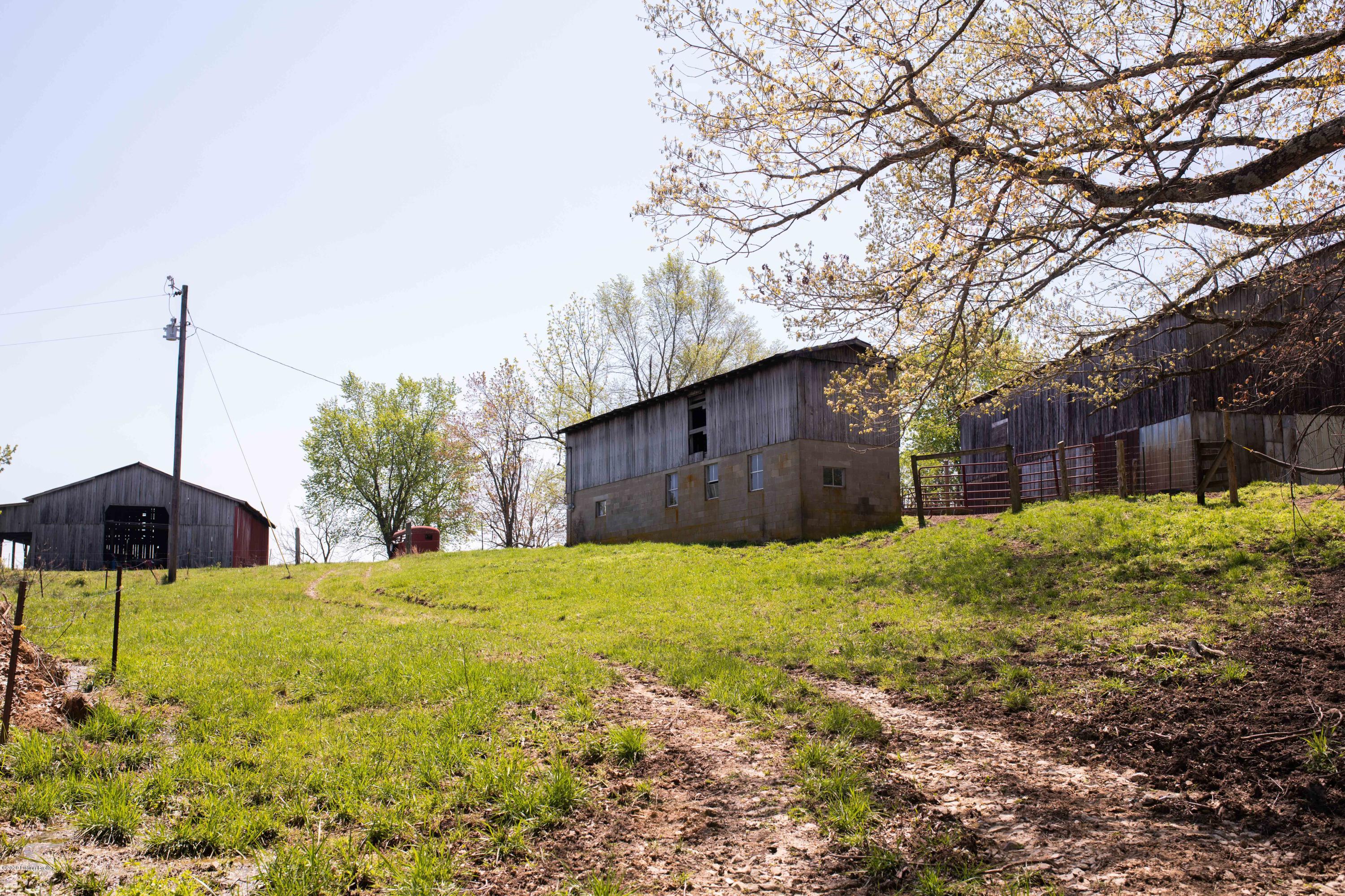0 Peonia Road Clarkson, KY 42726 - Photo 18 of 18 DSC_9674