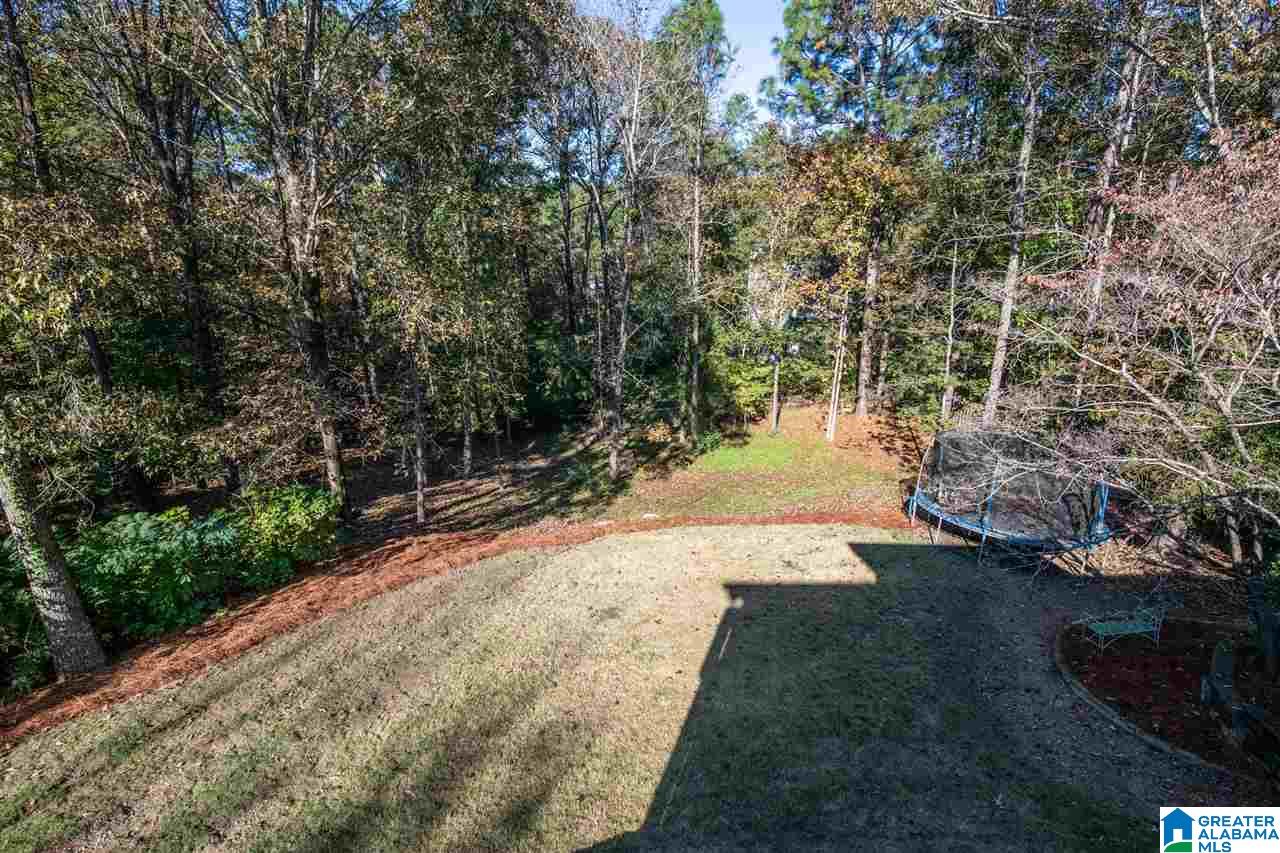 5283 Harvest Ridge Lane Birmingham, AL 35242 - Photo 10 of 49
