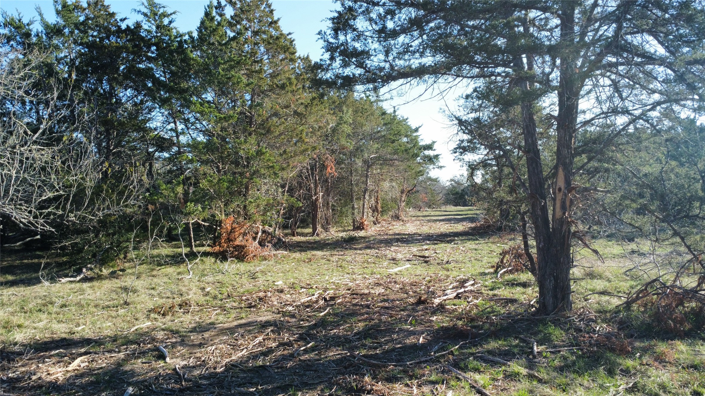 Tbd Lot 7 Tbd Road Flatonia, TX 78941 - Photo 1 of 2