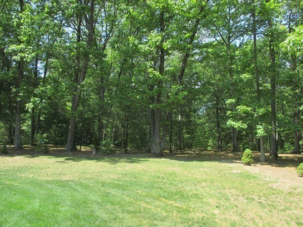 56 Brian Road Lancaster, MA 01523 - Photo 5 of 30 Gallery Image 5