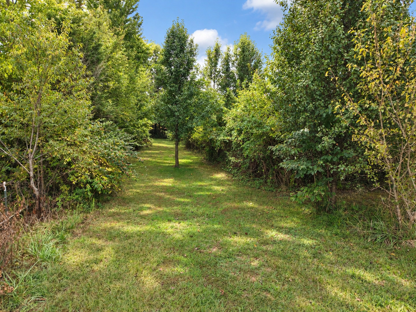 2076 North State Road Flora, IL 62839 - Photo 69 of 100 Gallery Image 69
