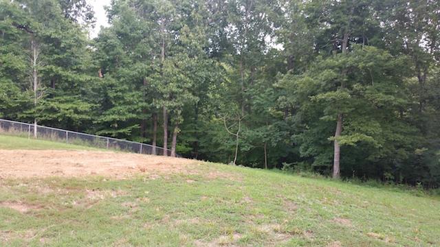 1616 Keesee Road Clarksville, TN 37040 - Photo 6 of 17