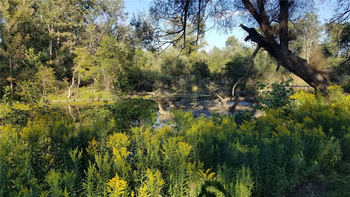 259 Spring Street Caledonia, NY 14423 - Photo 45 of 47