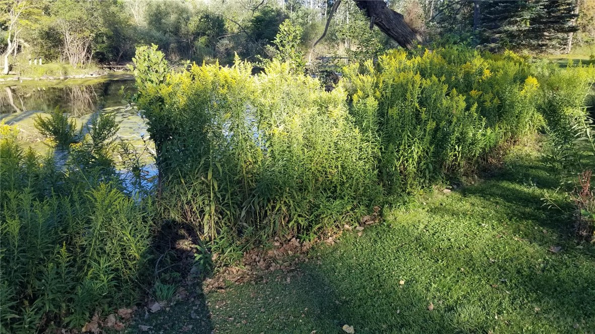 259 Spring Street Caledonia, NY 14423 - Photo 47 of 47