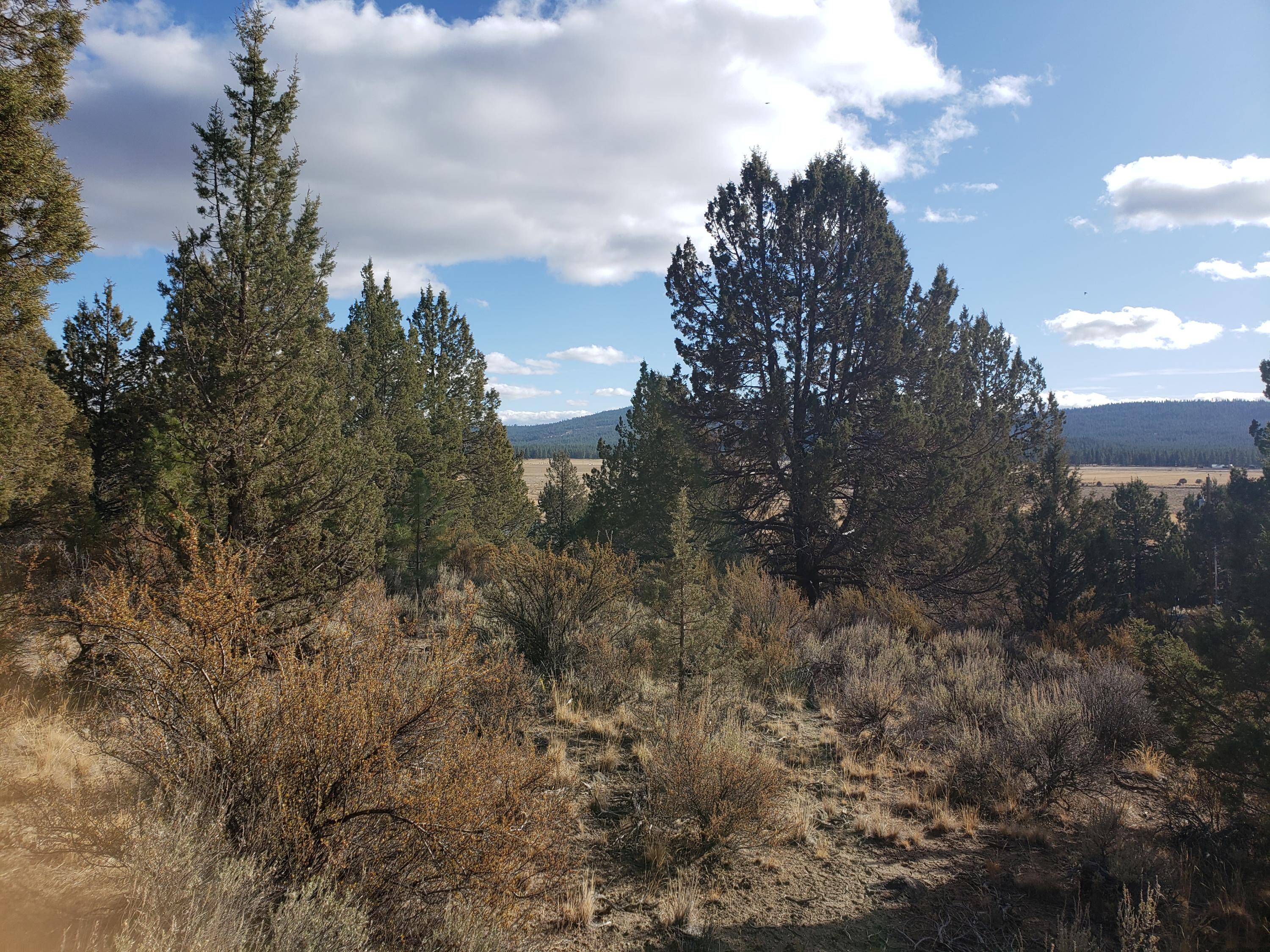 37 Drews Ranch Road Chiloquin, OR 97624 - Photo 8 of 16 20201110_134009