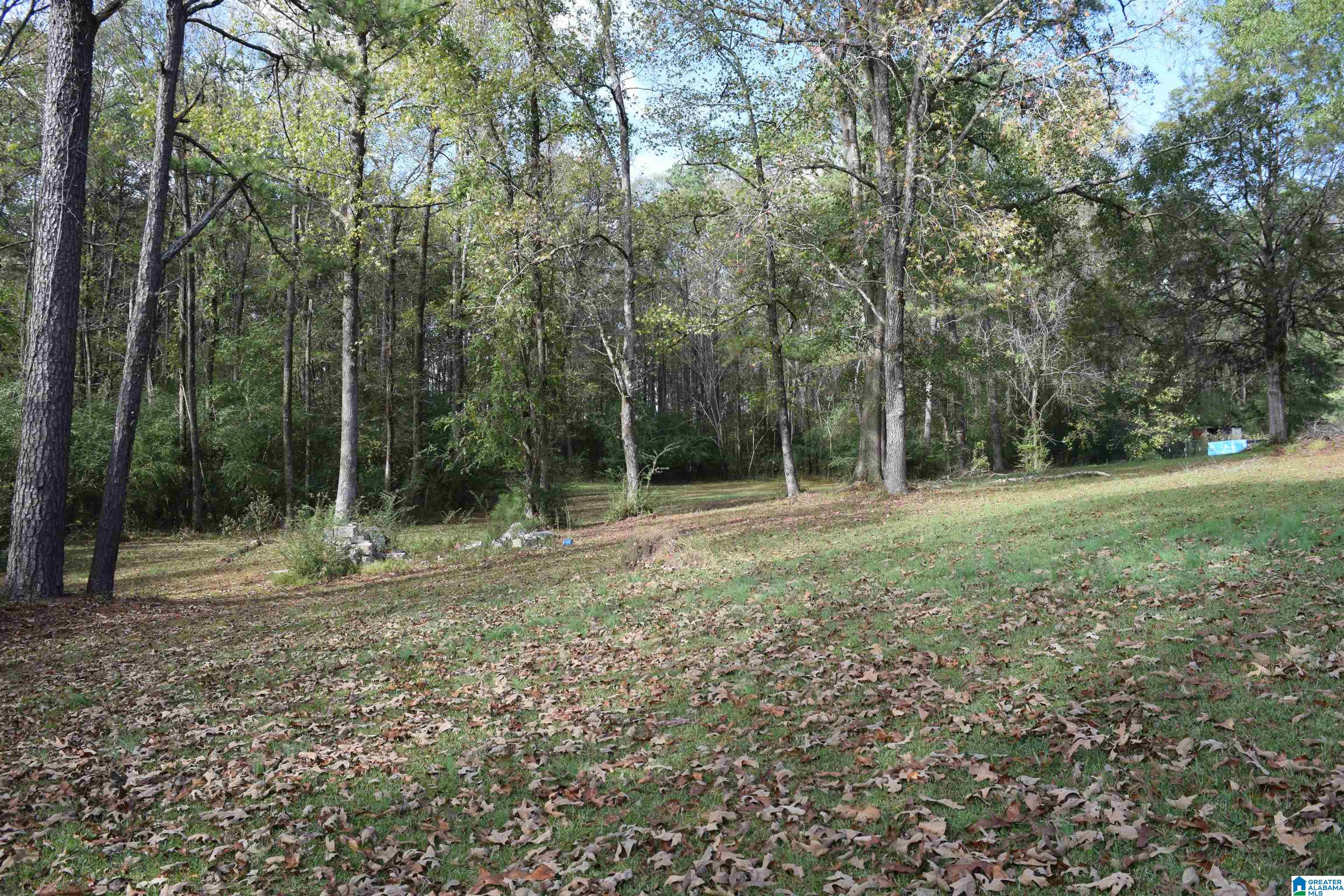 13930 B T Short Cutoff Road Vance, AL 35490 - Photo 5 of 34