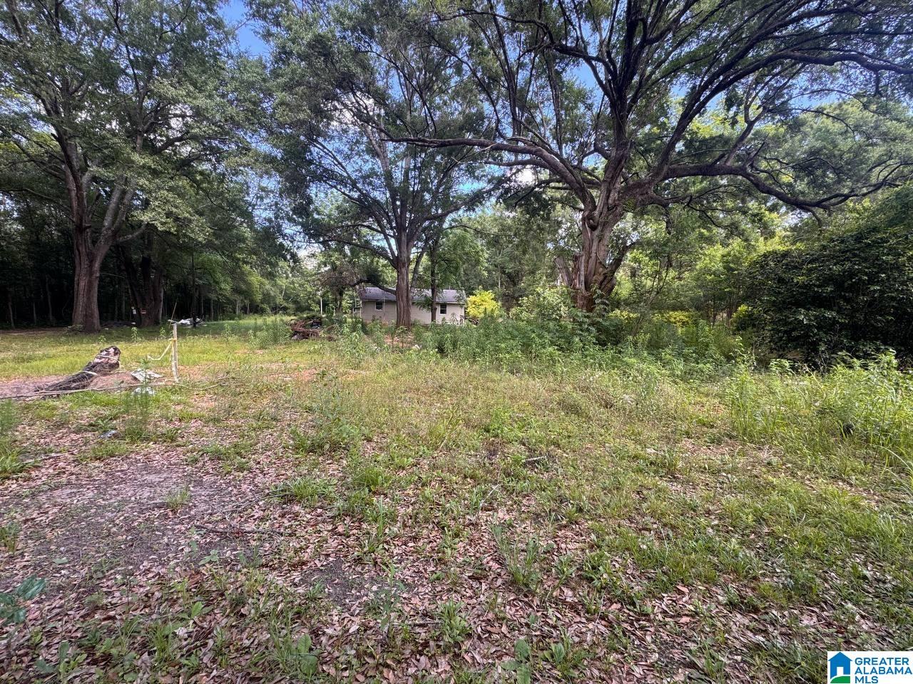 5246 Outlaw Road Eight Mile, AL 36613 - Photo 17 of 60