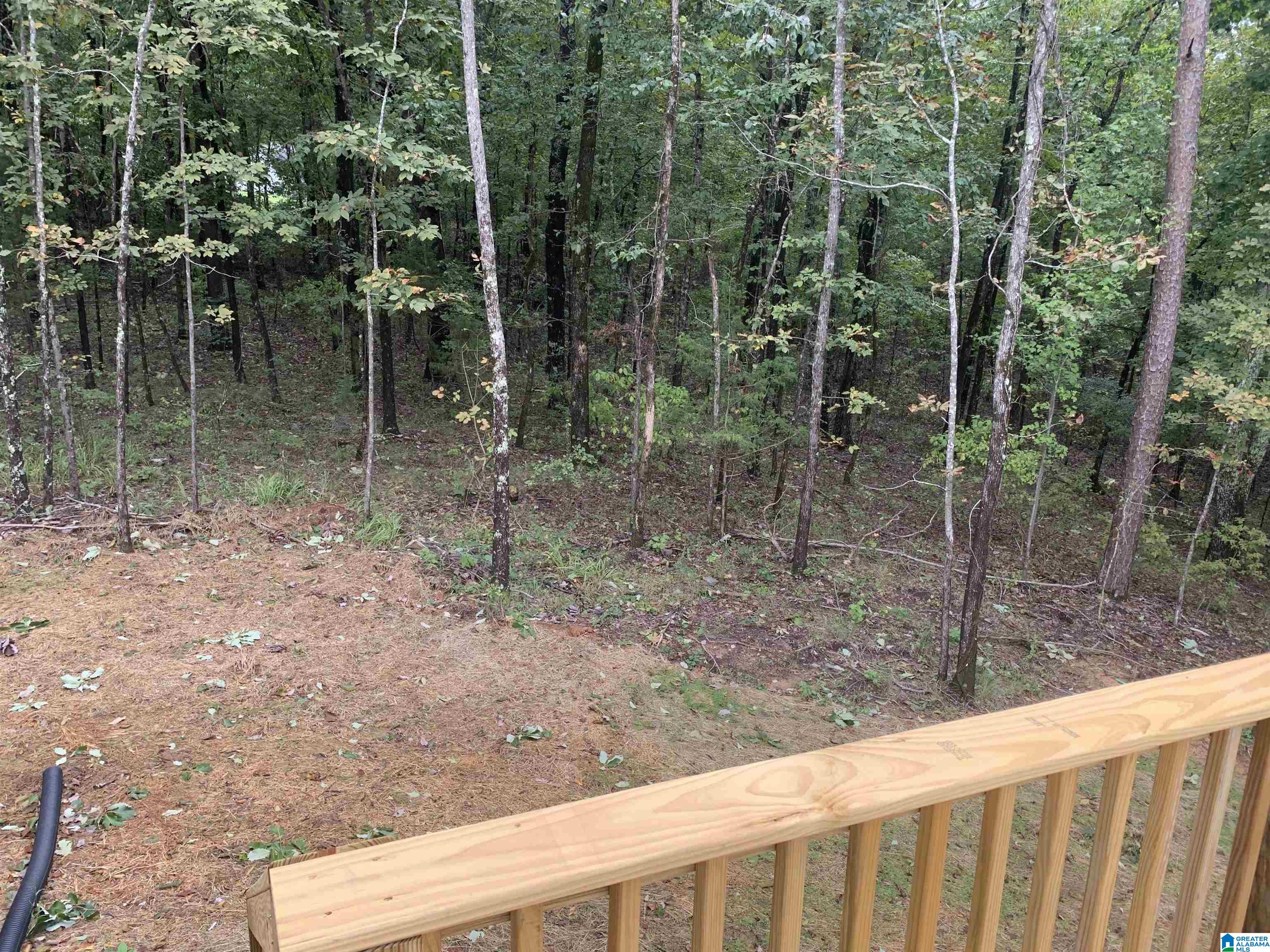 60 Chestnut Circle Warrior, AL 35180 - Photo 13 of 17