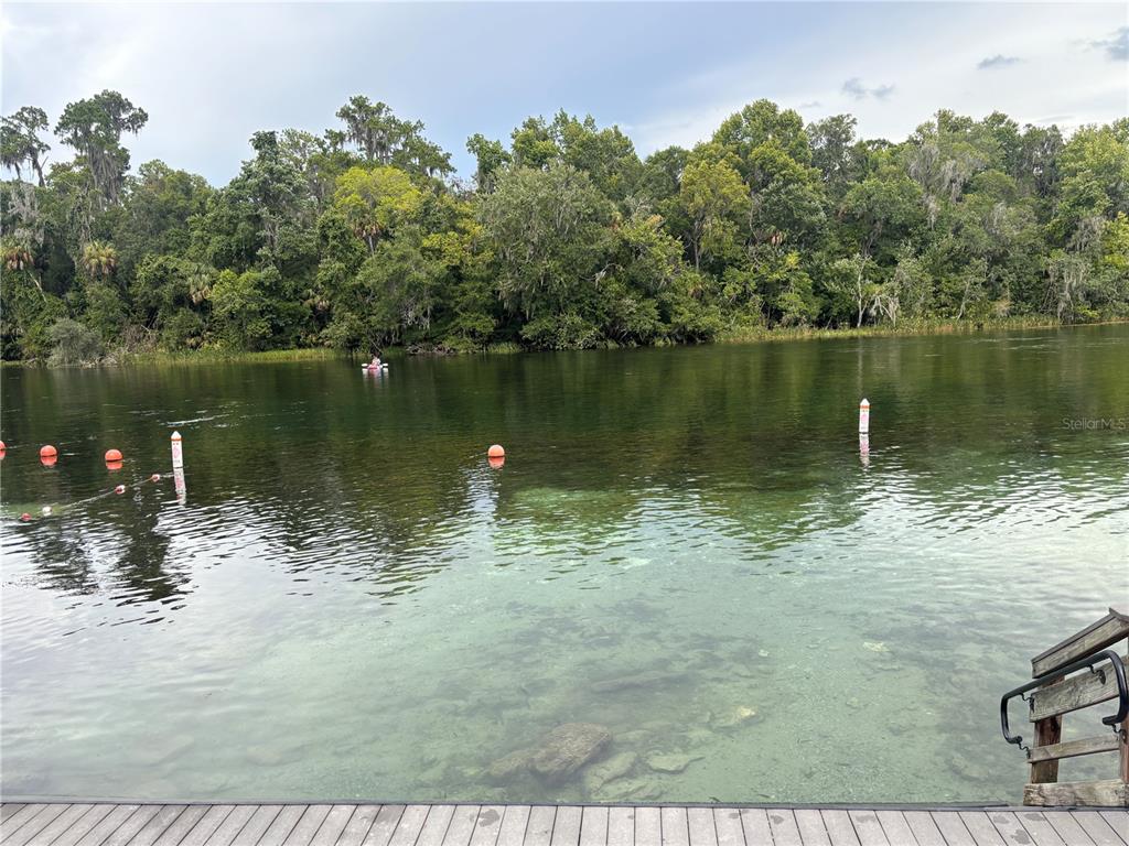 19203 Southwest 98th Loop Dunnellon, FL 34432 - Photo 42 of 44 Gallery Image 42