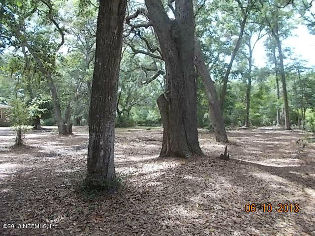 96539 Blackrock Road Yulee, FL 32097 - Photo 8 of 26 a view of a tree in the middle of a forest