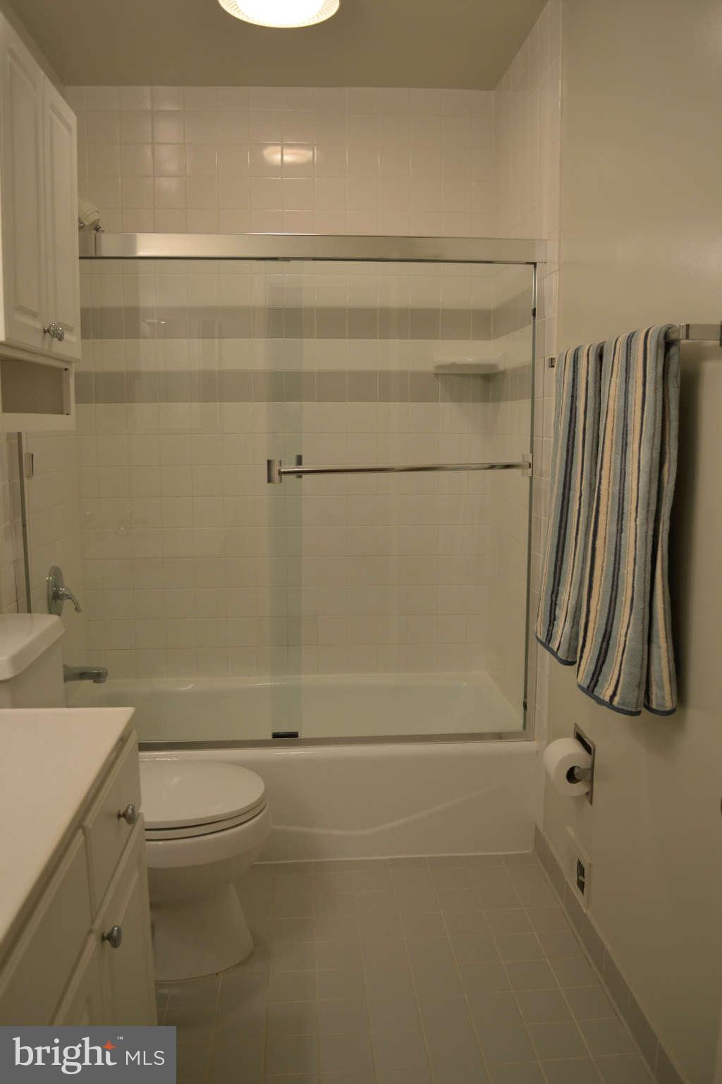 11731 Indian Ridge Road Reston, VA 20191 - Photo 11 of 30 Bath (Master)