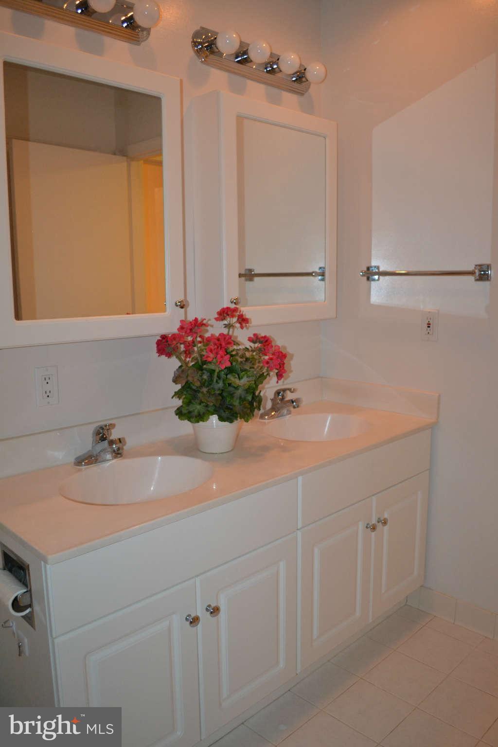 11731 Indian Ridge Road Reston, VA 20191 - Photo 17 of 30 Bath