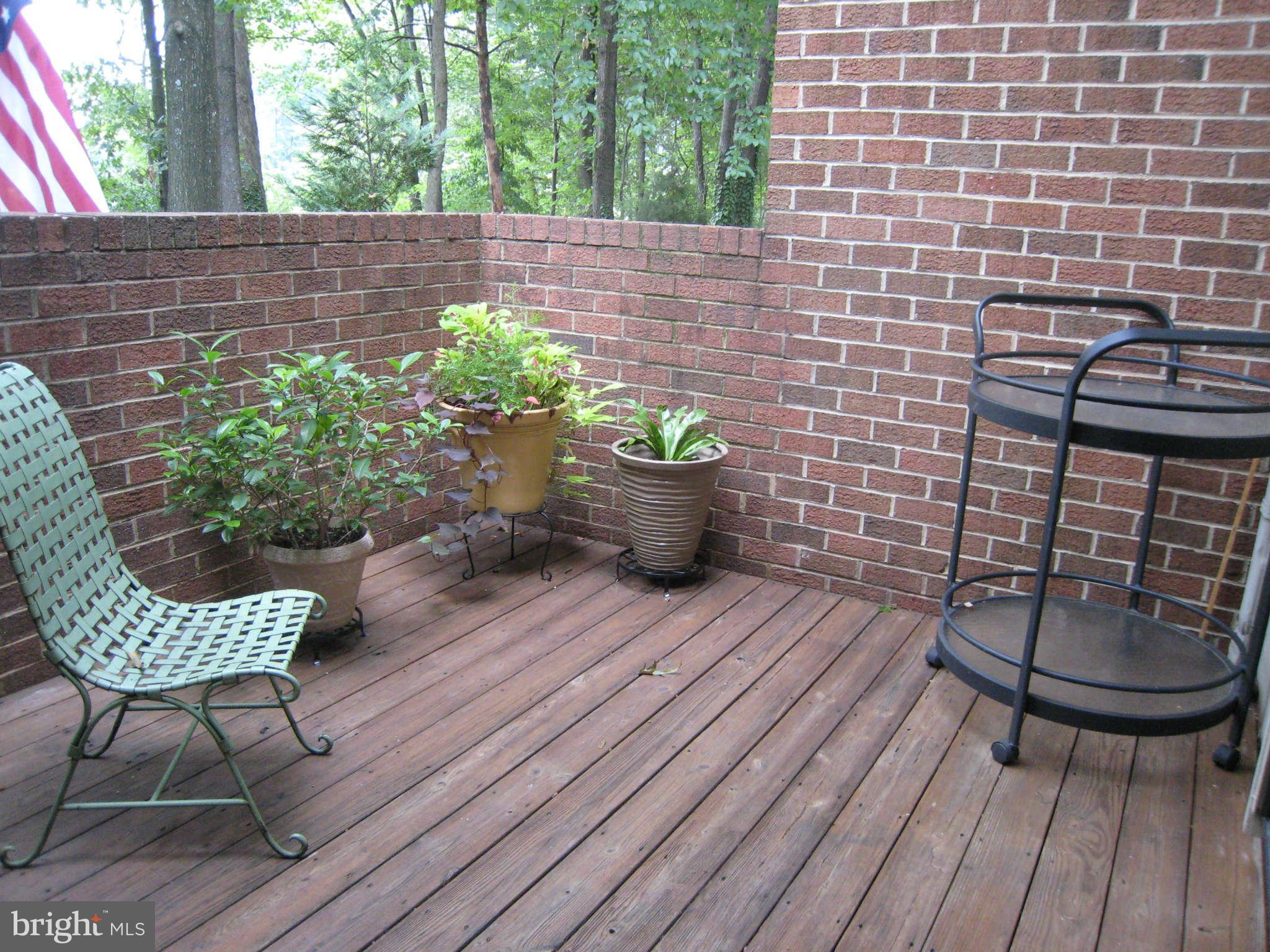 11731 Indian Ridge Road Reston, VA 20191 - Photo 22 of 30 Exterior (Rear)