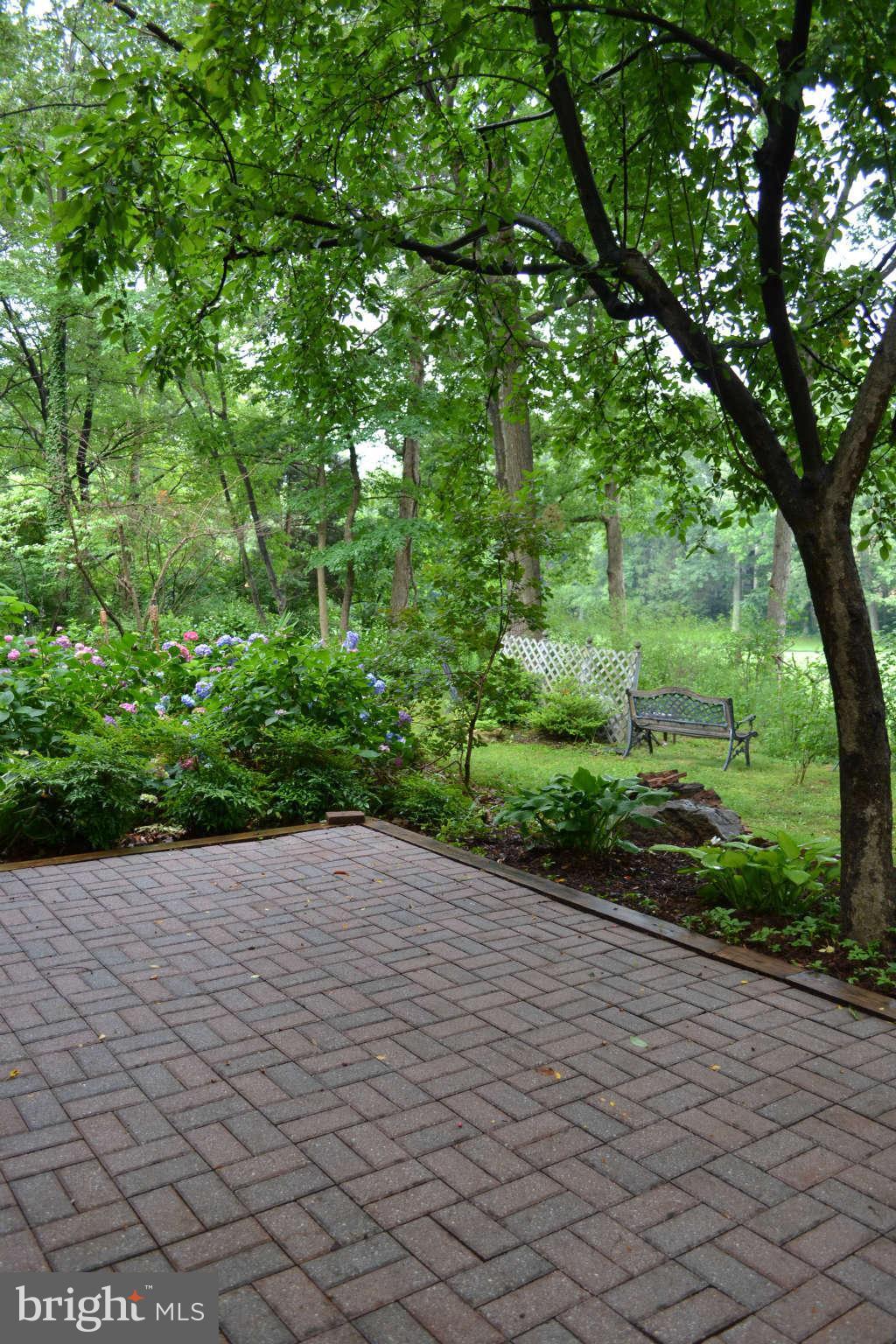 11731 Indian Ridge Road Reston, VA 20191 - Photo 23 of 30 Exterior (Rear)