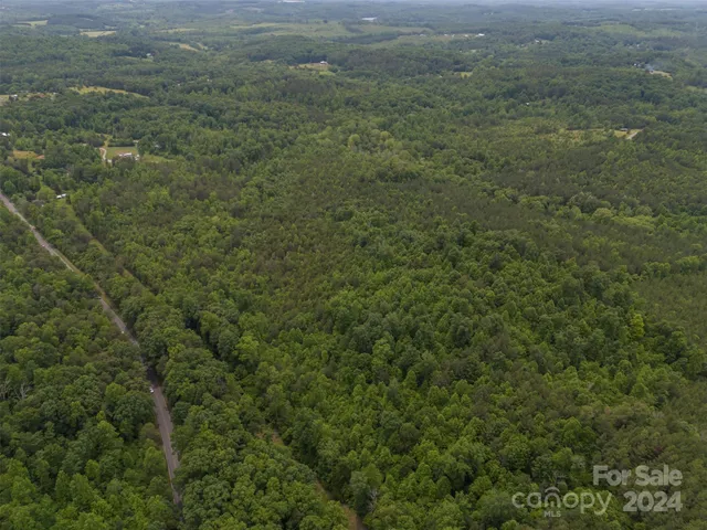a view of a city with lush green forest