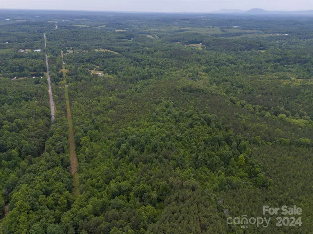 a view of a lush green forest with a houses