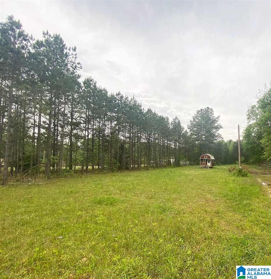 19639 Highway 411 Springville, AL 35146 - Photo 1 of 3
