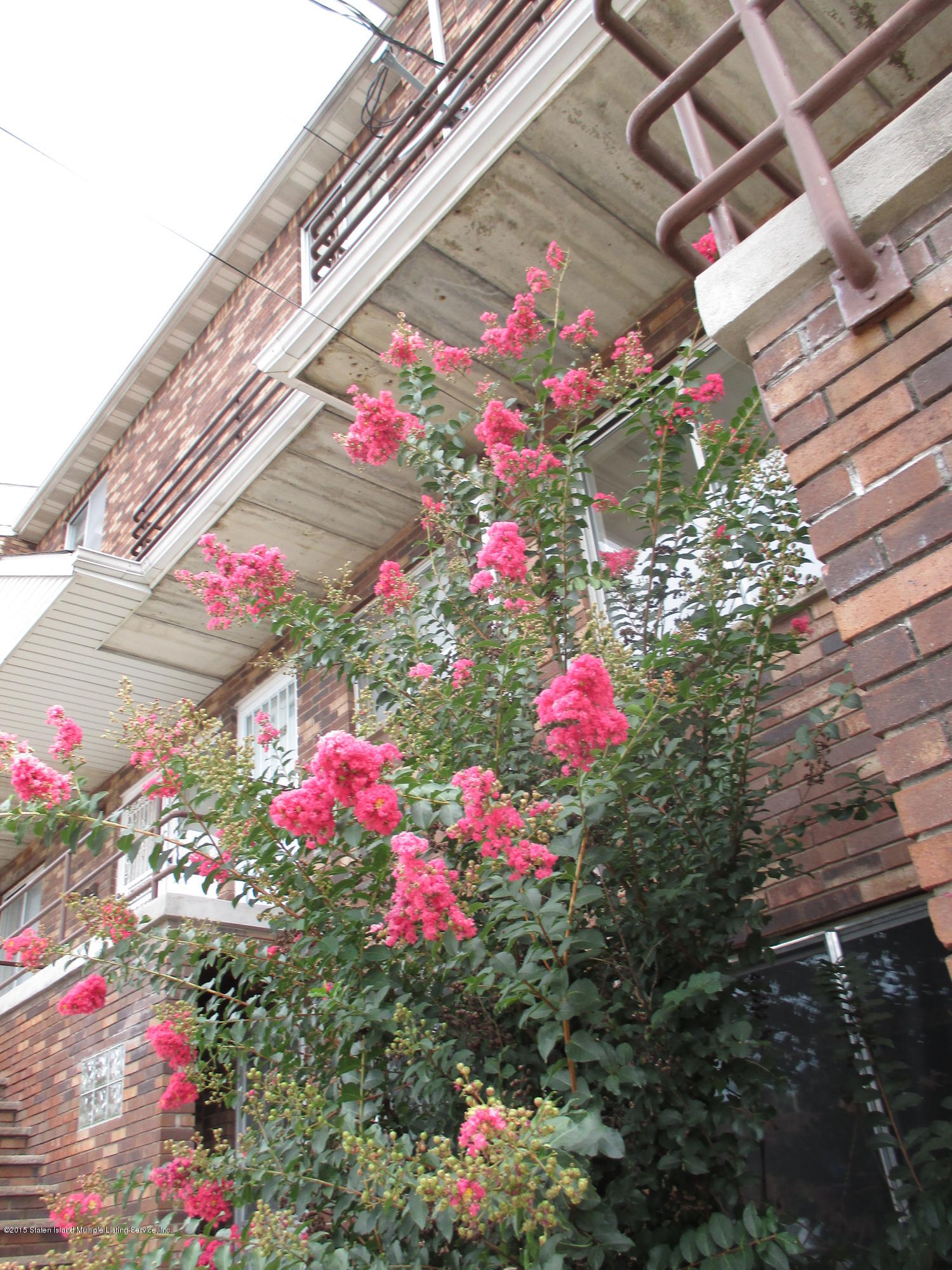 83 Narrows Road North, Unit 2D Staten Island, NY 10305 - Photo 2 of 16 front w pink flowers