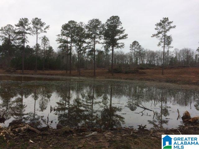 3686 Dudleyville Road Dadeville, AL 36853 - Photo 3 of 3
