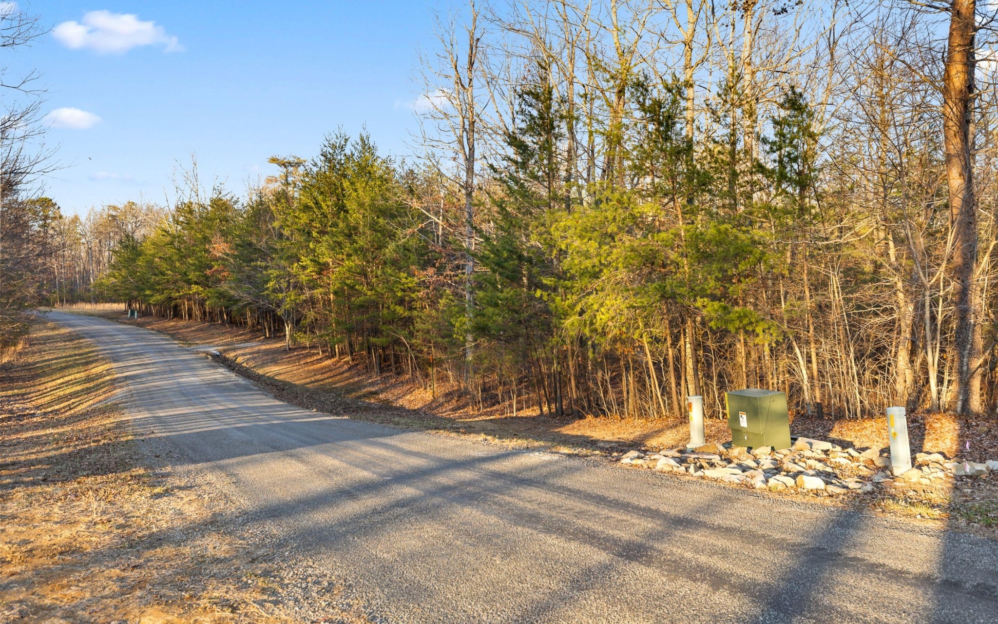 13 Greenfields Way North Dunlap, TN 37327 - Photo 5 of 16 a view of a yard with yellow lighting
