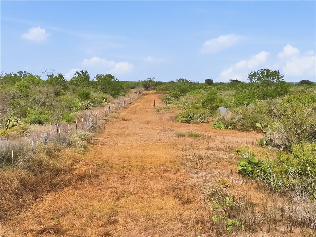 1991 South Highway 37 Three Rivers, TX 78071 - Photo 3 of 60 Gallery Image 3