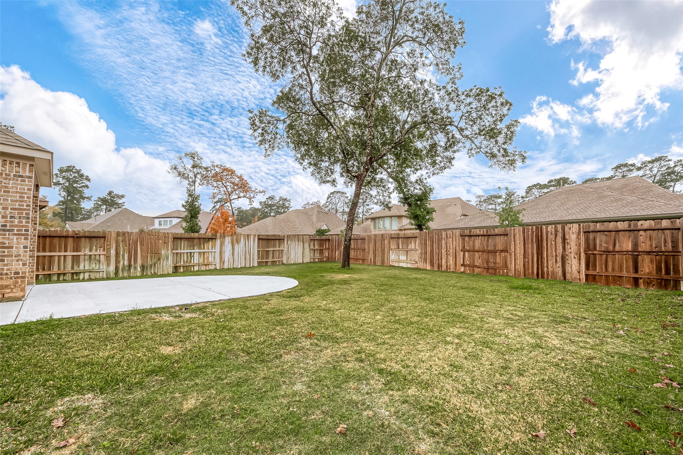 516 Timber Voyage Court Conroe, TX 77304 - Photo 23 of 25 a view of a big yard next to a large tree