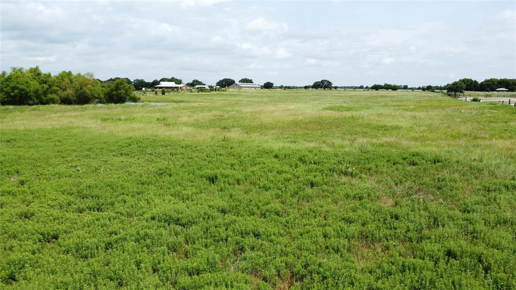 Tbd Bell Road Pilot Point, TX 76258 - Photo 3 of 17 View of local wilderness with rural landscape
