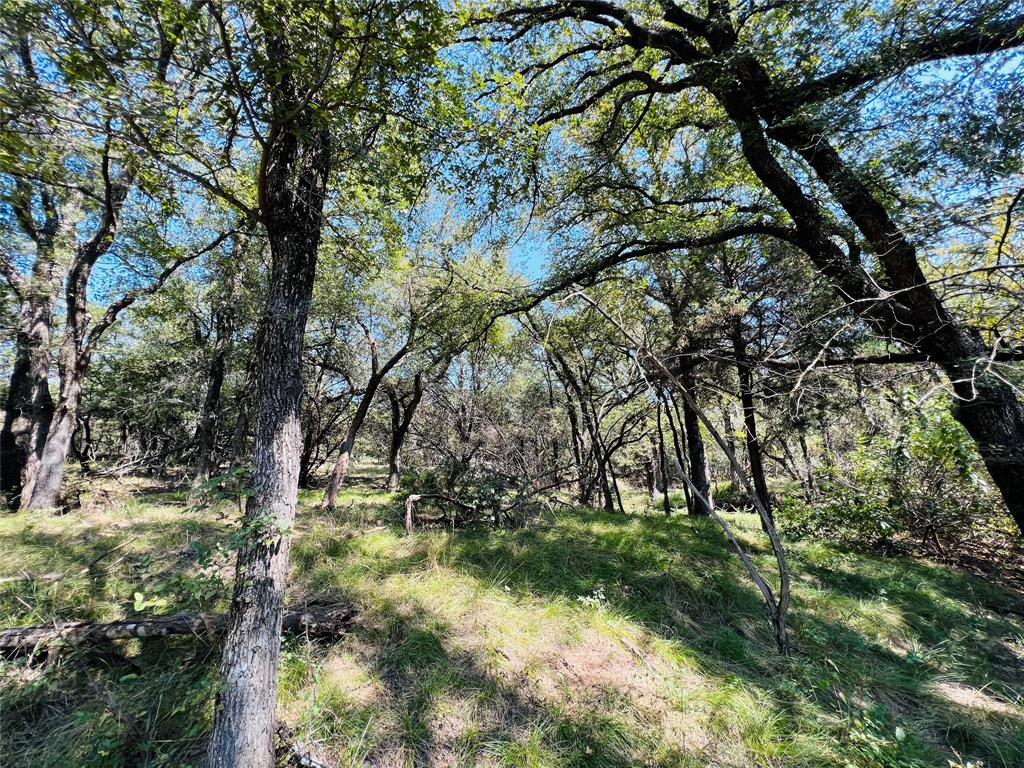 20 Ih Santo, TX 76472 - Photo 15 of 38 View of nature