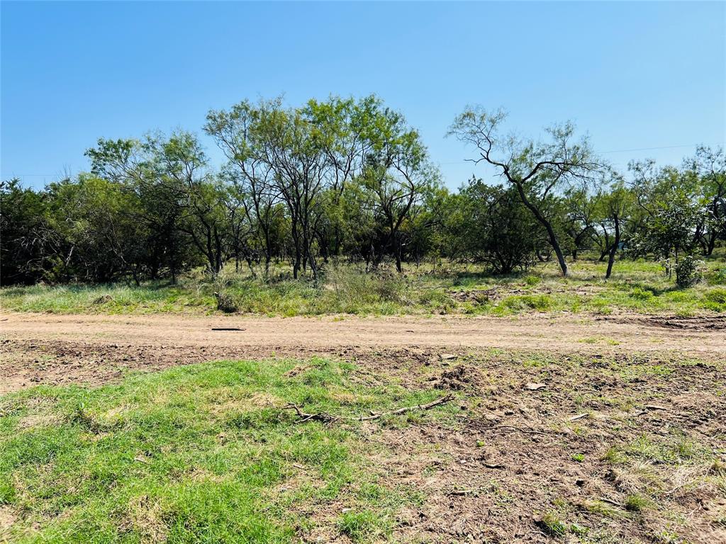 20 Ih Santo, TX 76472 - Photo 18 of 38 View of local wilderness