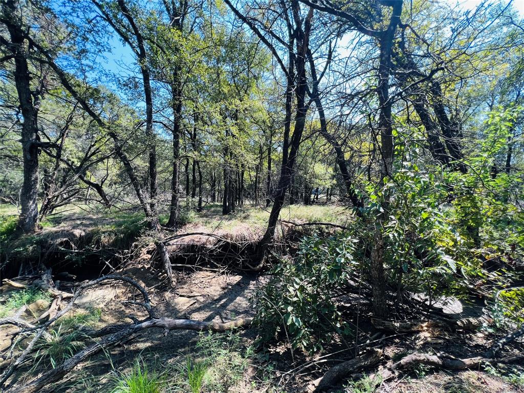 20 Ih Santo, TX 76472 - Photo 19 of 38 View of nature