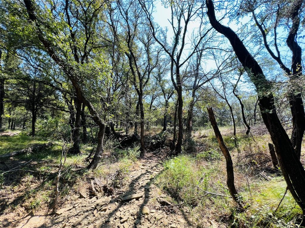 20 Ih Santo, TX 76472 - Photo 20 of 38 View of undeveloped land