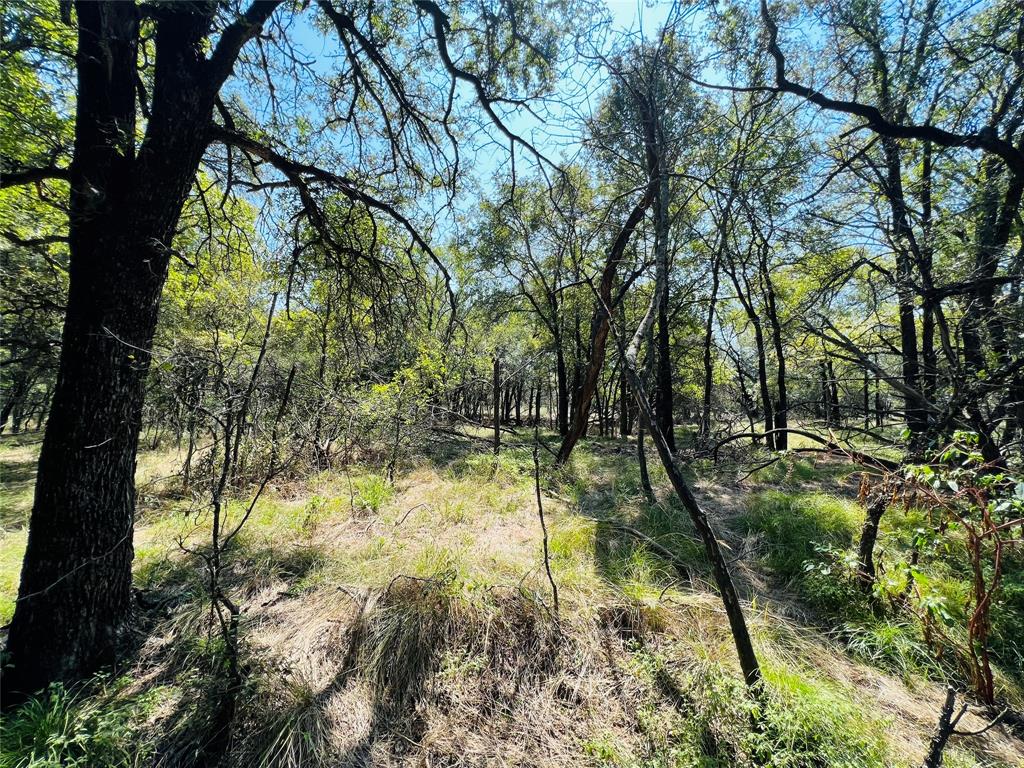 20 Ih Santo, TX 76472 - Photo 21 of 38 View of nature