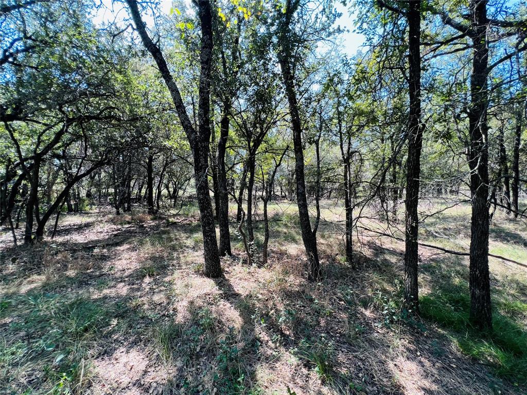 20 Ih Santo, TX 76472 - Photo 24 of 38 View of undeveloped land