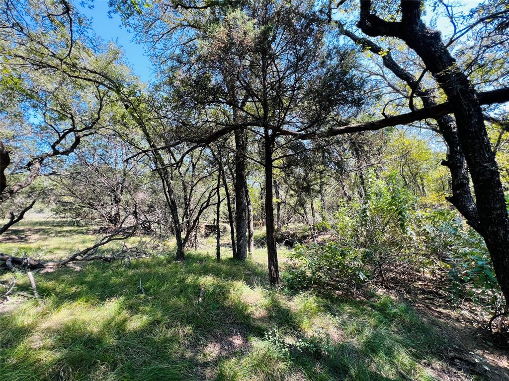 20 Ih Santo, TX 76472 - Photo 26 of 38 View of undeveloped land