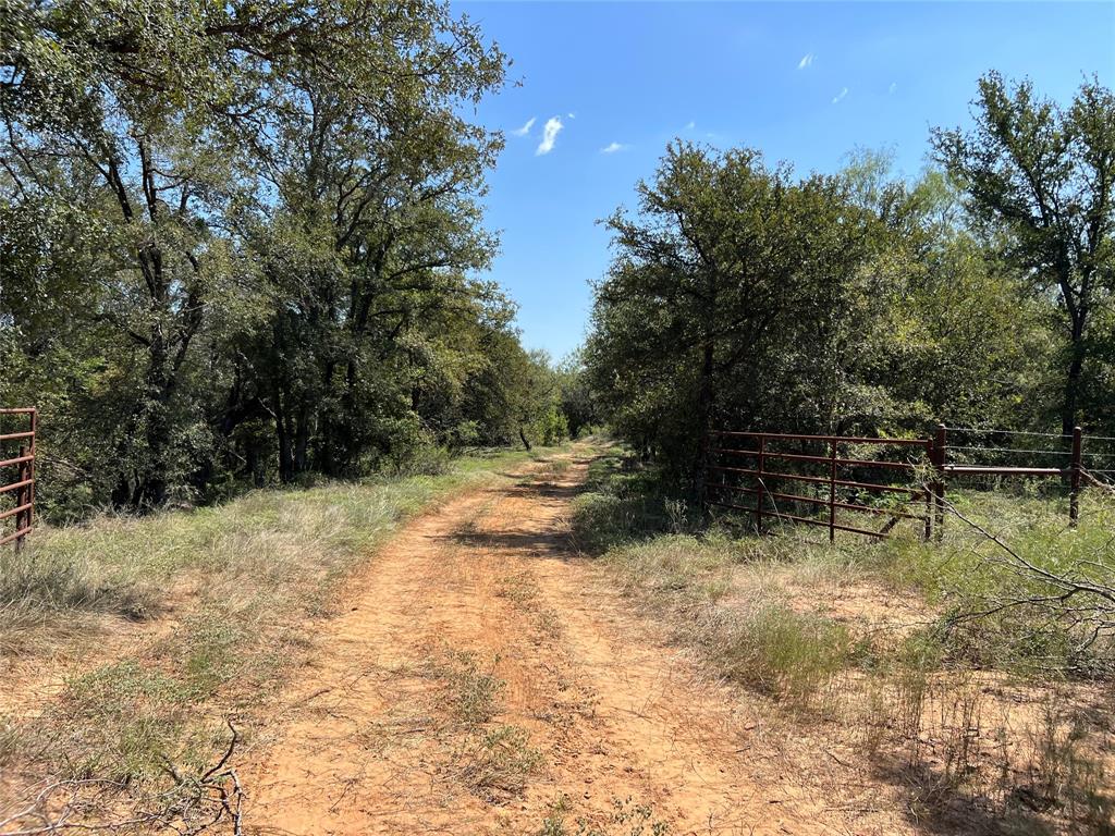 20 Ih Santo, TX 76472 - Photo 31 of 38 View of dirt / gravel road
