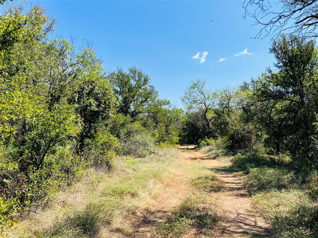 20 Ih Santo, TX 76472 - Photo 32 of 38 View of wooded area